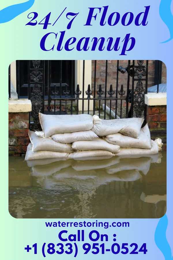 24/7 Flood Cleanup in Marks, MS