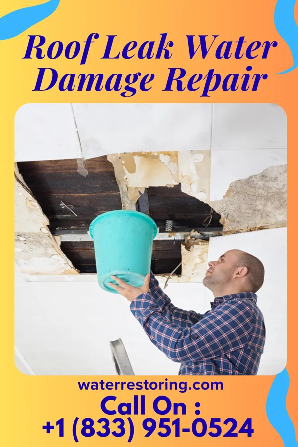 Roof Leak Water Damage Repair in Marks, MS