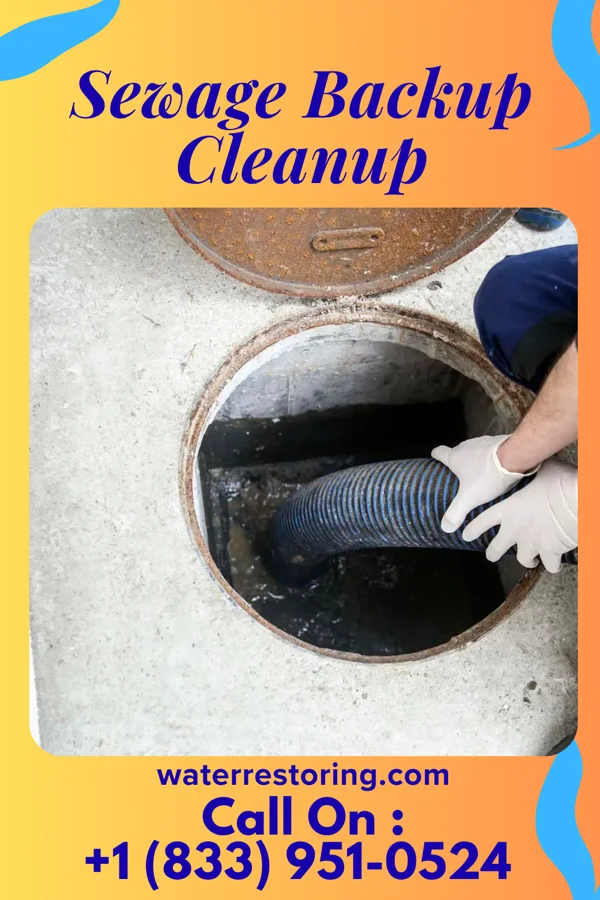 Sewage Backup Cleanup in Marks, MS