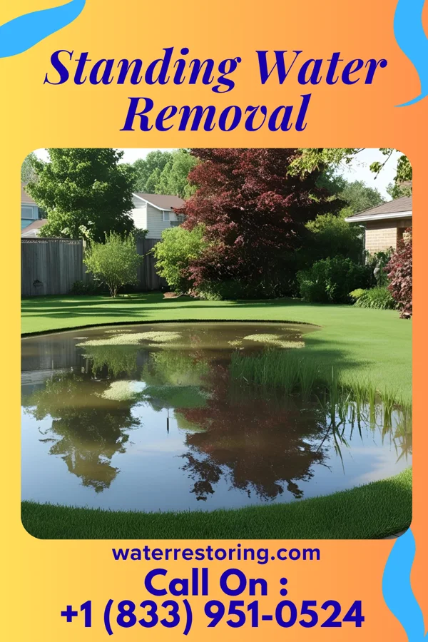 Standing Water Removal in Marks, MS